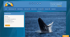Desktop Screenshot of barharborwhales.com